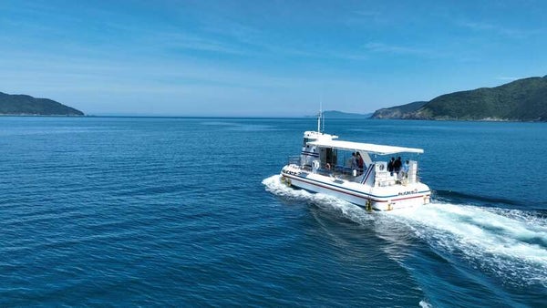 【愛媛県内発】 美しいブルー煌めく愛南へ!海底が見える船「ユメカイナ」と外泊・石垣の里 日帰り1